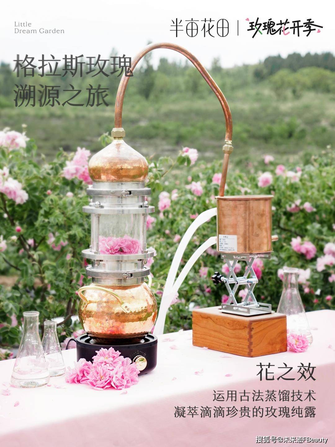 后半亩花田的“花”式创新密码电子pg游戏解码618霸榜背(图8)